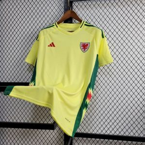 Wales 2024/25 Euro Heim Trikot