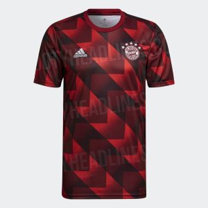 Herren Bayern München 2022/23 Pre-Match Trikot