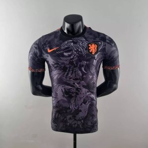 Niederlande 2022 Konzept Trikot Spieler Version